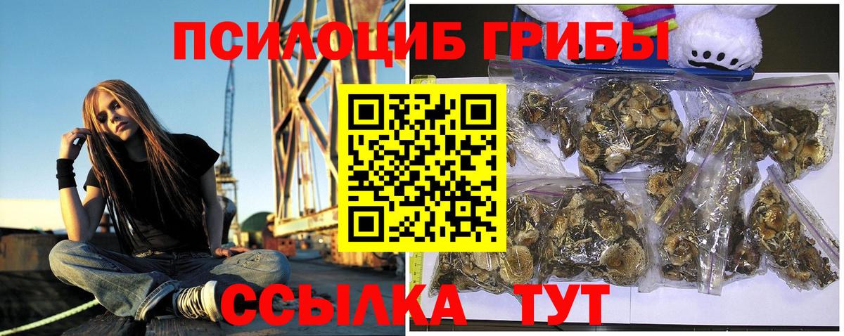 Галлюциногенные грибы GOLDEN TEACHER  Вход с VPN  Россошь 
